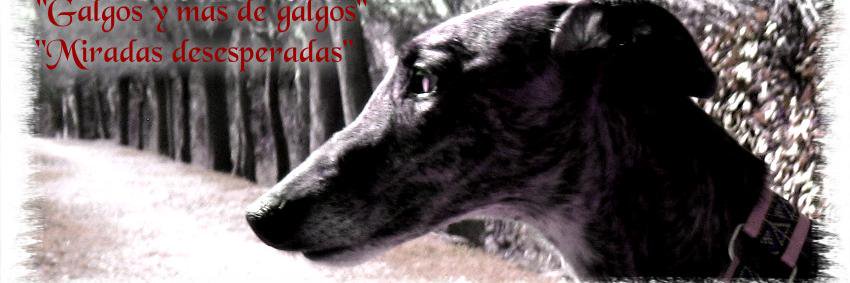 Mapi100's profile banner image