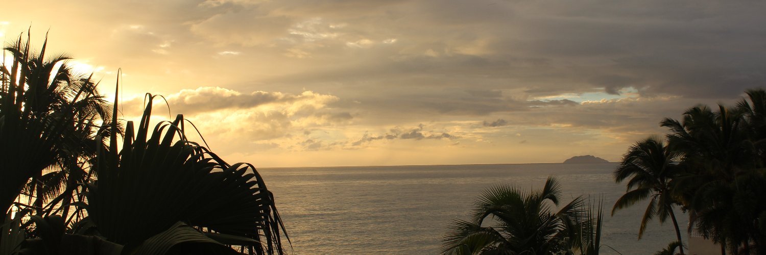 thepolycrafter's profile banner image