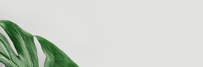 nuranhusain's profile banner image