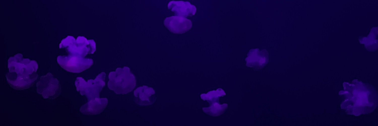 maayzasantoos's profile banner image