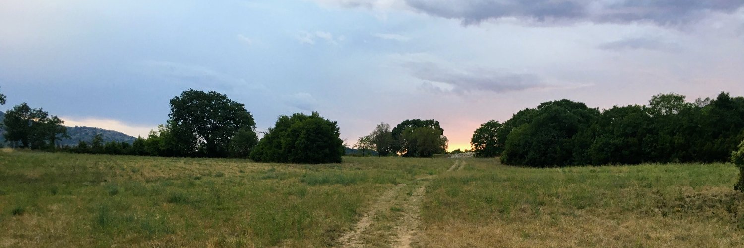 EricVidalPro's profile banner image