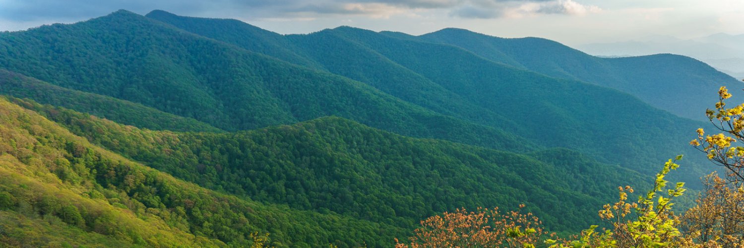 Basil Kahwash, MD banner