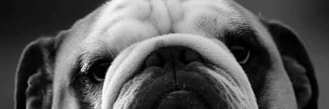 osca_rito28's profile banner image