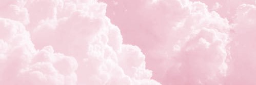 baby.lea banner