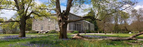 NTArlington Profile Banner