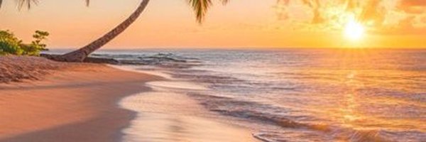 IbrahimBaure Profile Banner