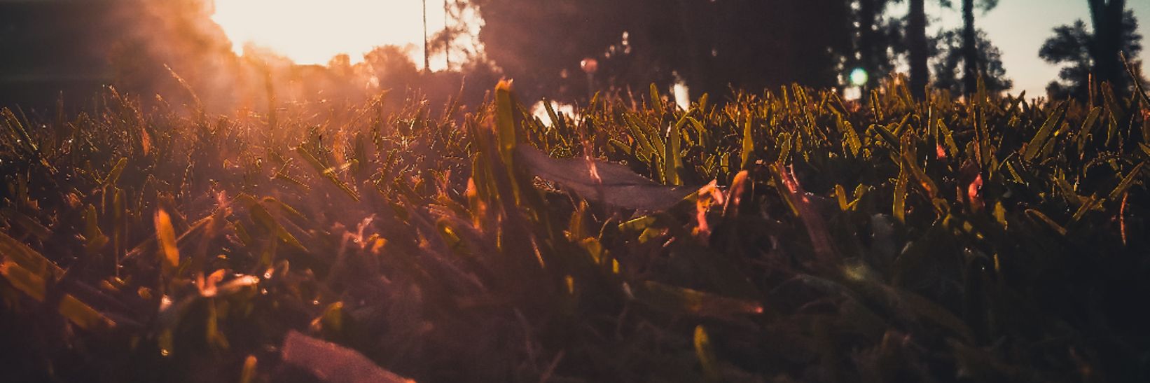 TOswa12's profile banner image