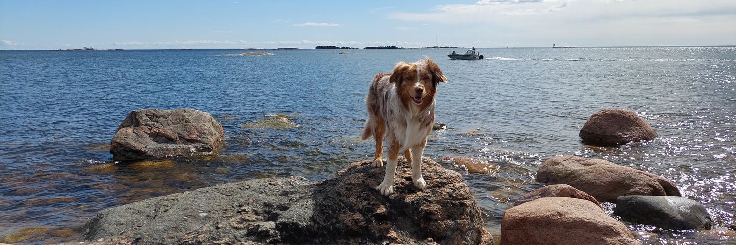 mippecarlsson's profile banner image