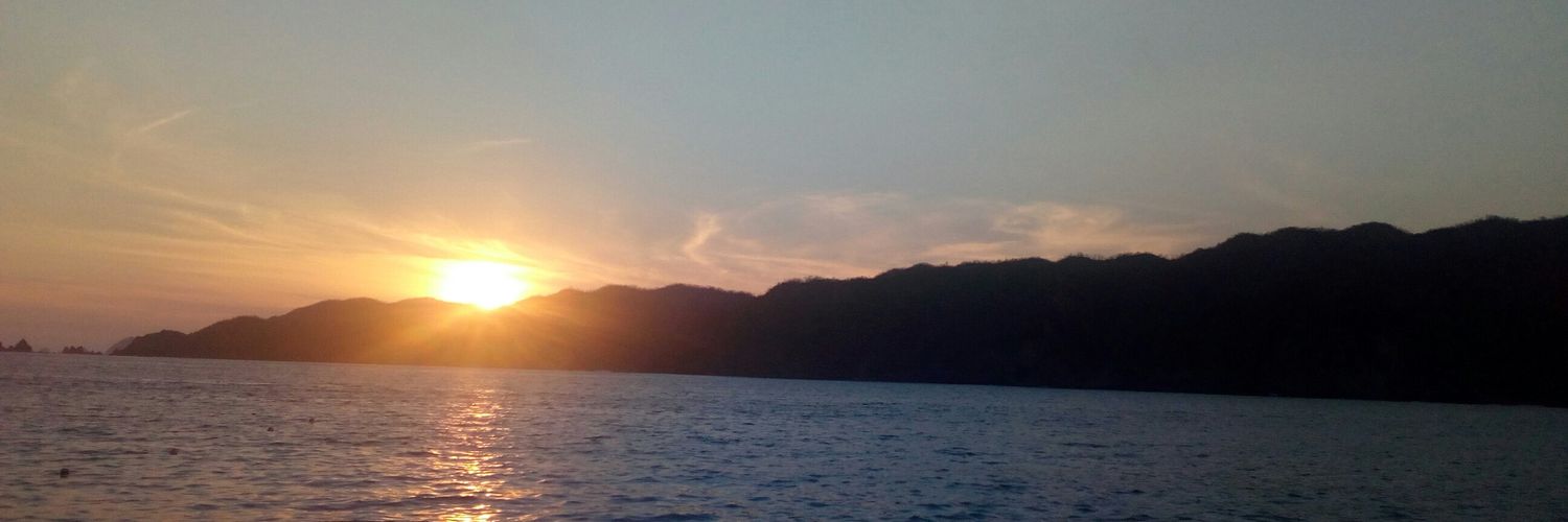 Alison Cobain banner