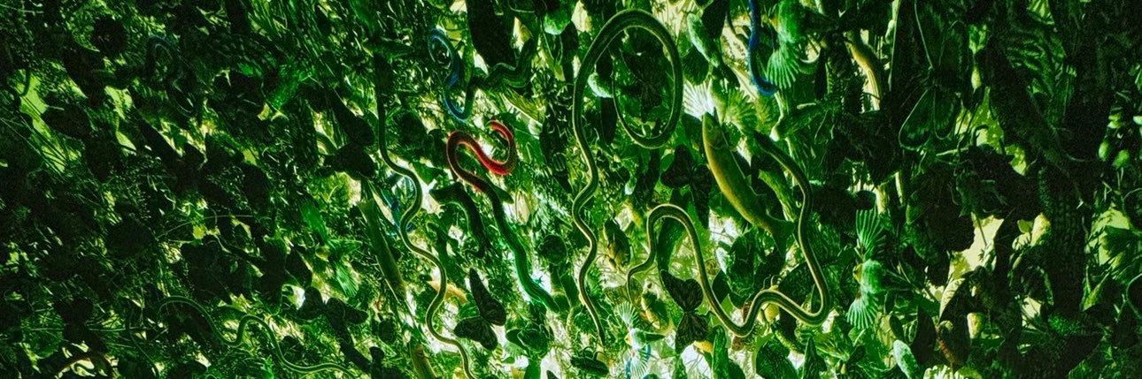 PDXSly's profile banner image