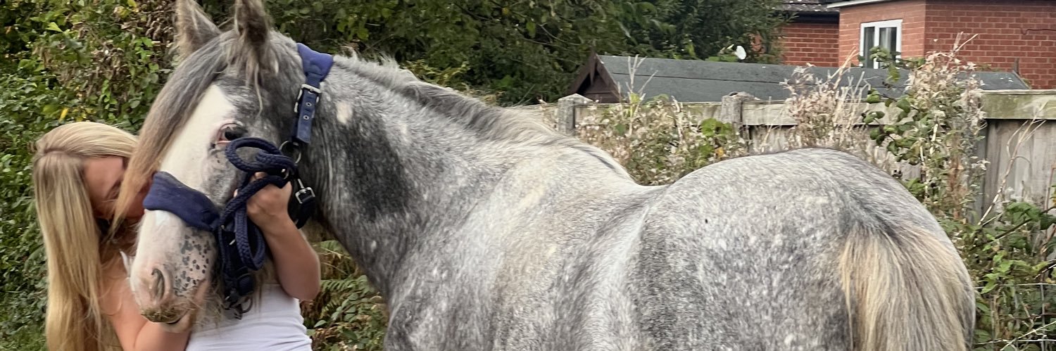 Debsjweir's profile banner image