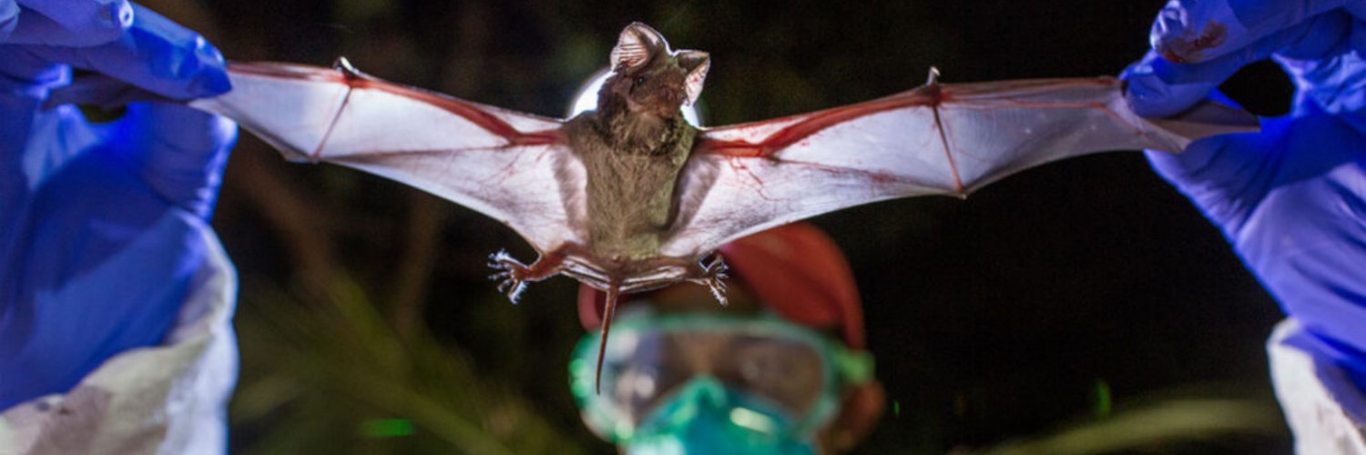 STOP Spillover banner