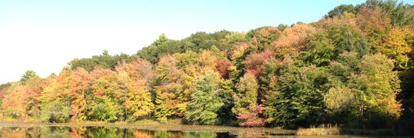 MattMadore576 Profile Banner