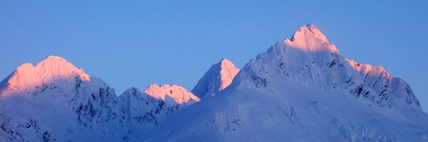 _dimitard Profile Banner