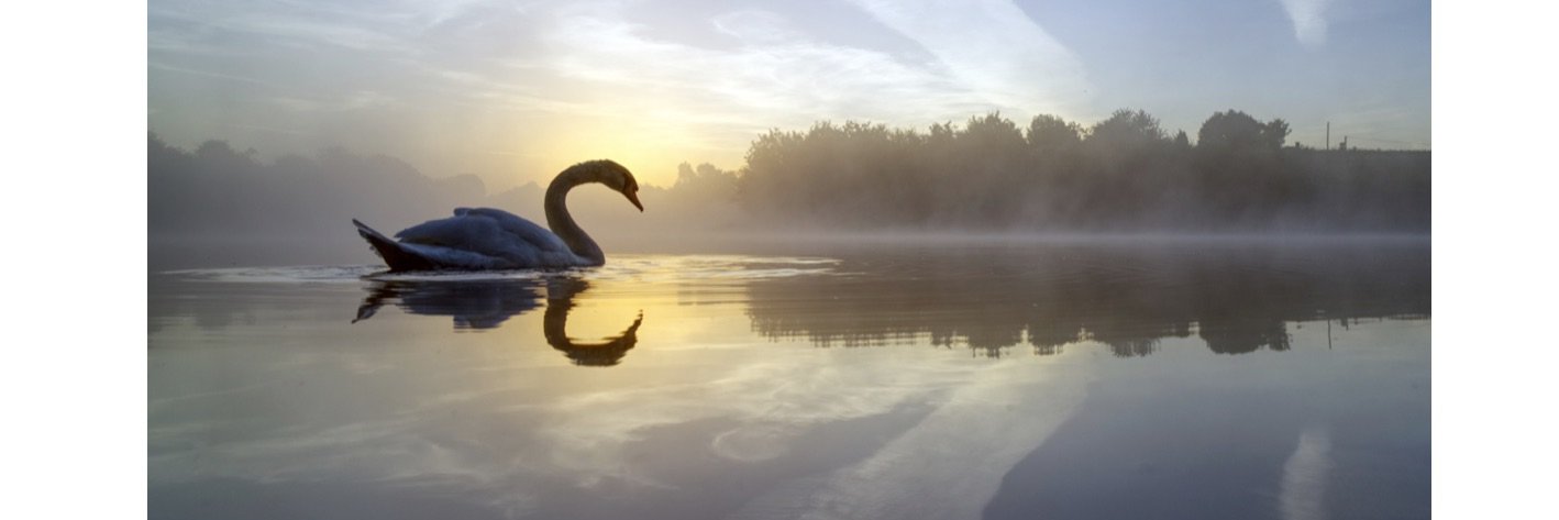 Mark_B_J's profile banner image