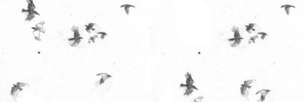 URSXO's profile banner image