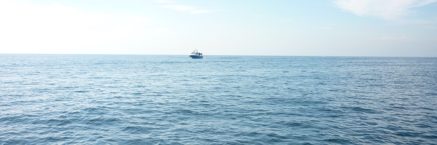 TimMacpherson🌹 banner