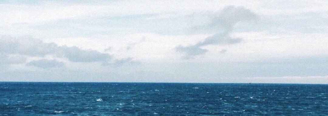 HarrisGuo_824's profile banner image