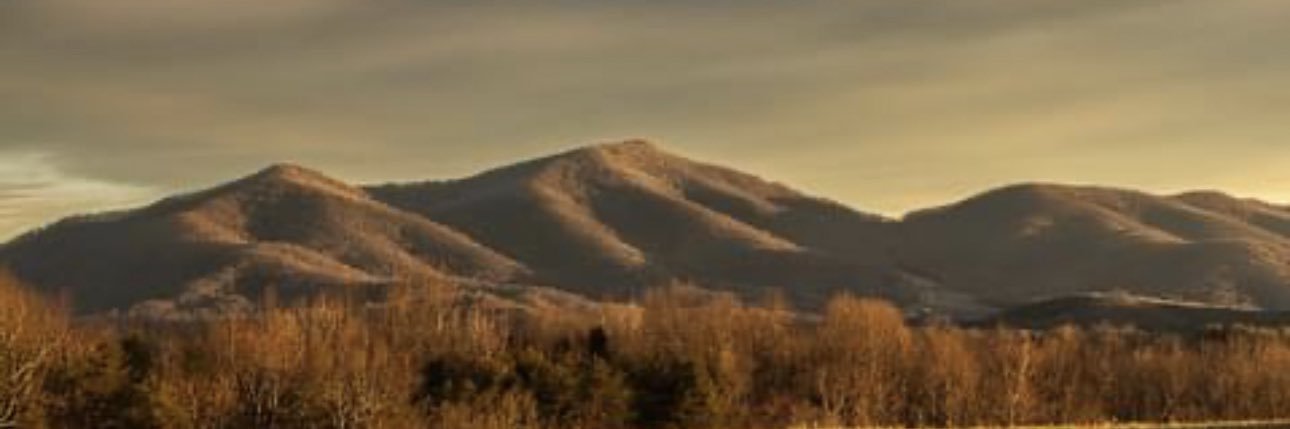 The Appalachian Podcast's banner