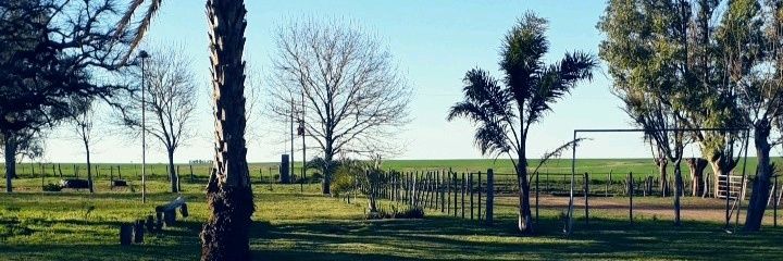 Agos_dezan's profile banner image