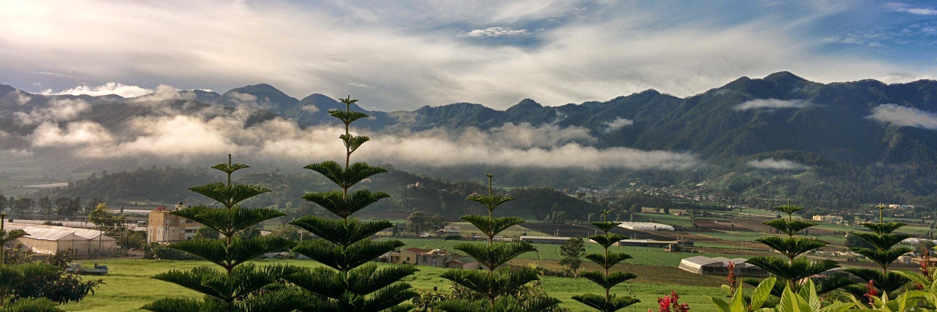 Fricolico's profile banner image