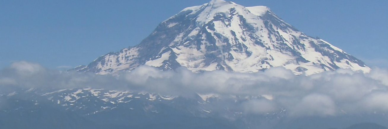 David T Linker banner