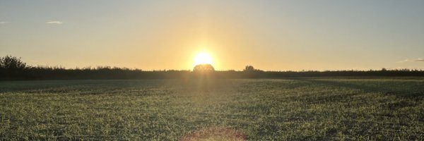 simonbirding Profile Banner