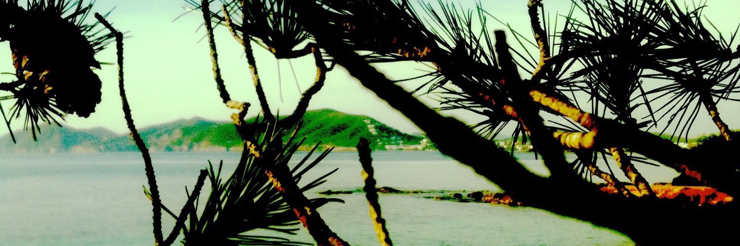 AnthonyGorry's profile banner image