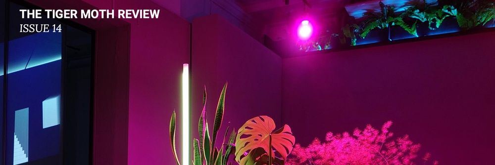 The Tiger Moth Review banner