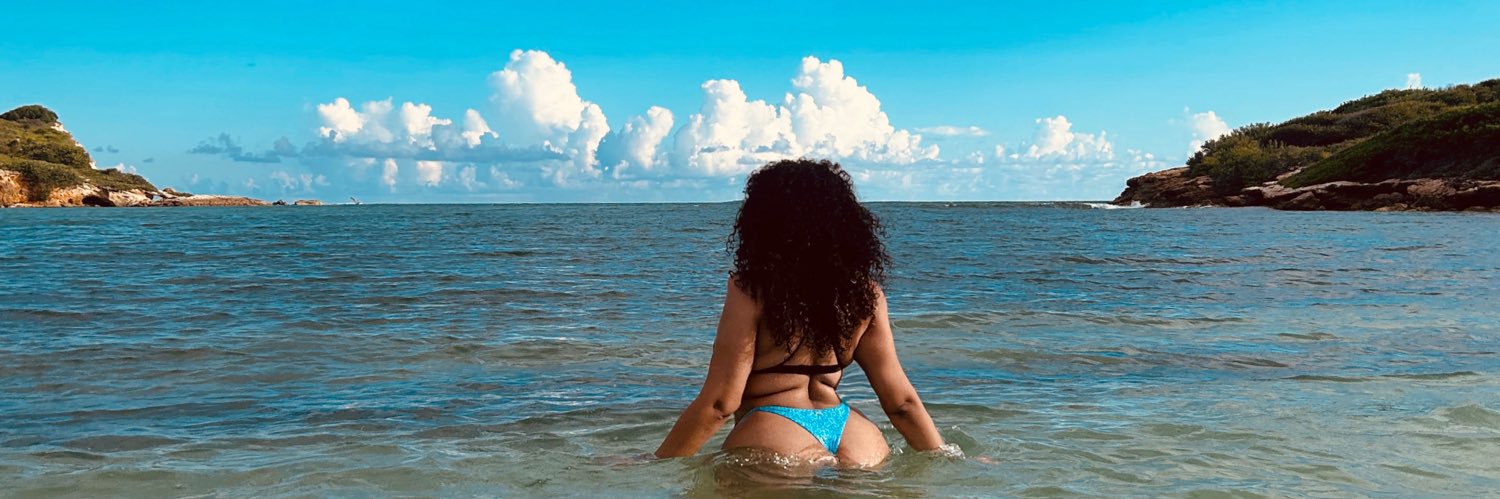 Valerick 🦋 🇵🇷🇨🇺's banner