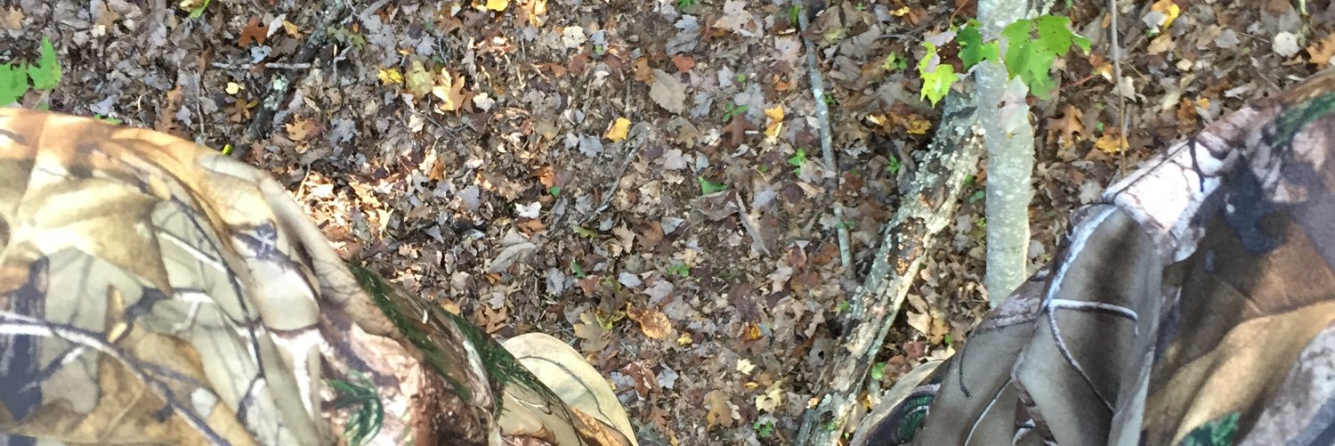 dbrowning15's profile banner image