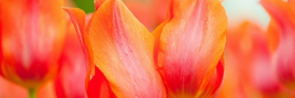 EPAAwards Profile Banner