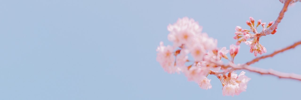 kfcqmo's profile banner image