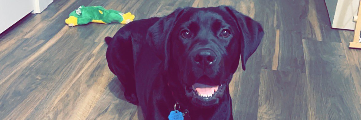 v_nicole_'s profile banner image
