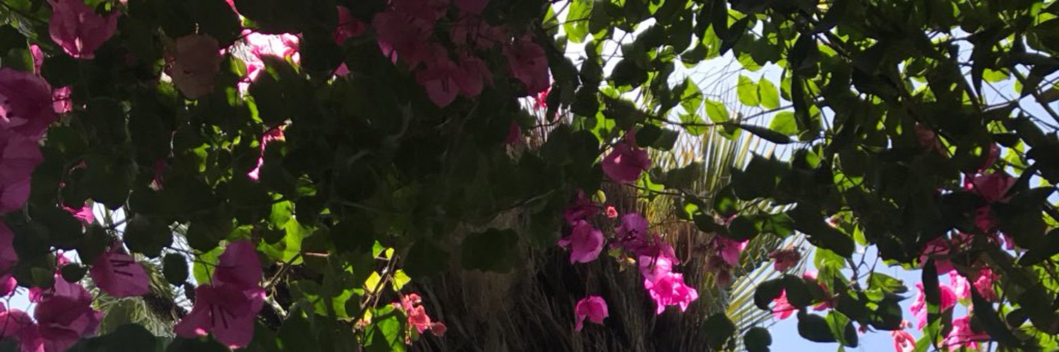 F_iza2's profile banner image