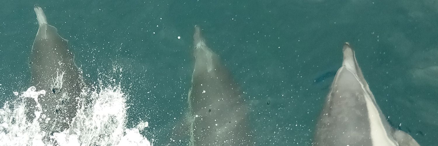 bdean_'s profile banner image