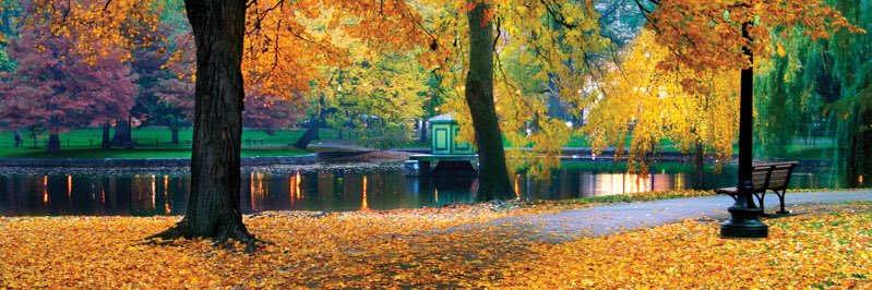 Anne_Marie_78's profile banner image