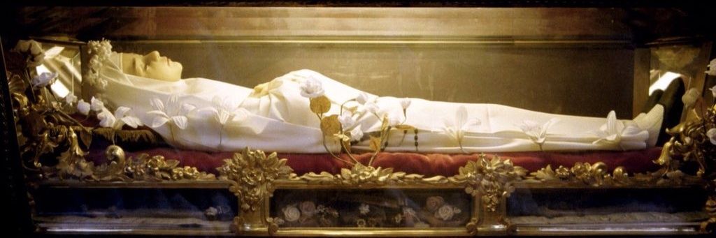 Gary Paul H ‏🦁🌞 banner