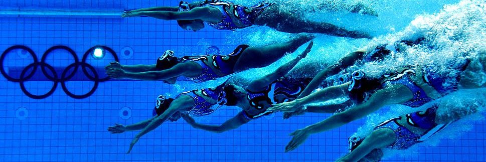 Bartel Berkhout banner