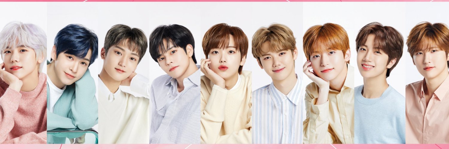 disneymousemm's profile banner image
