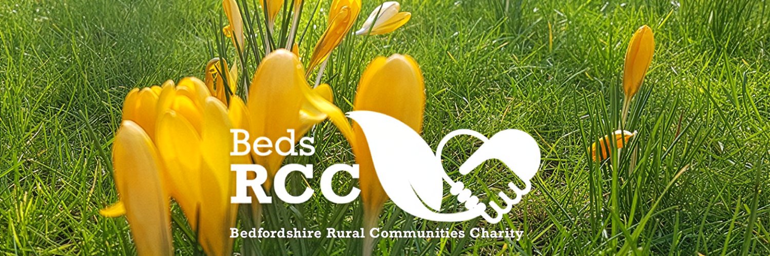 Beds RCC 💚💜 banner