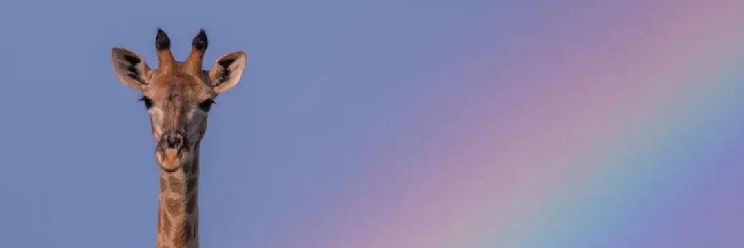 Microbionico's profile banner image