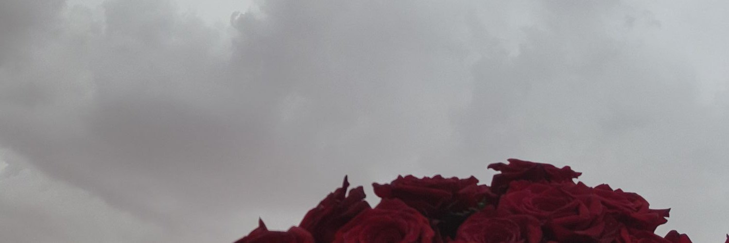mnoodh96's profile banner image