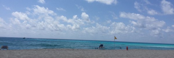 timi_winter Profile Banner