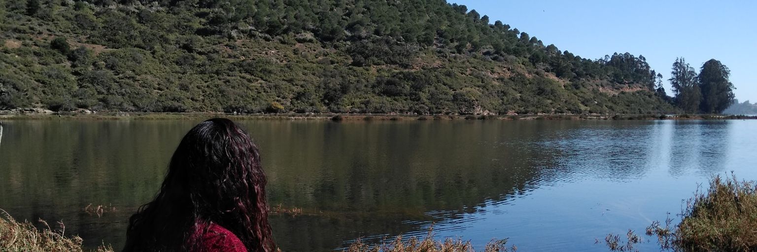 AnnPinupp's profile banner image