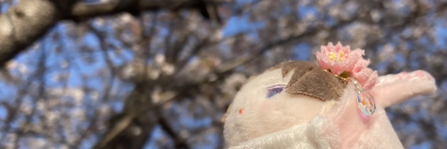 桜葉@取引垢 banner