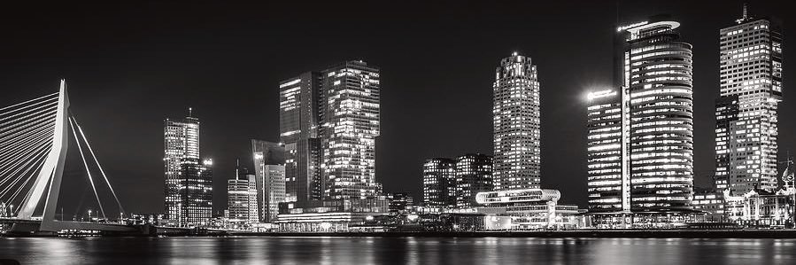Jort banner