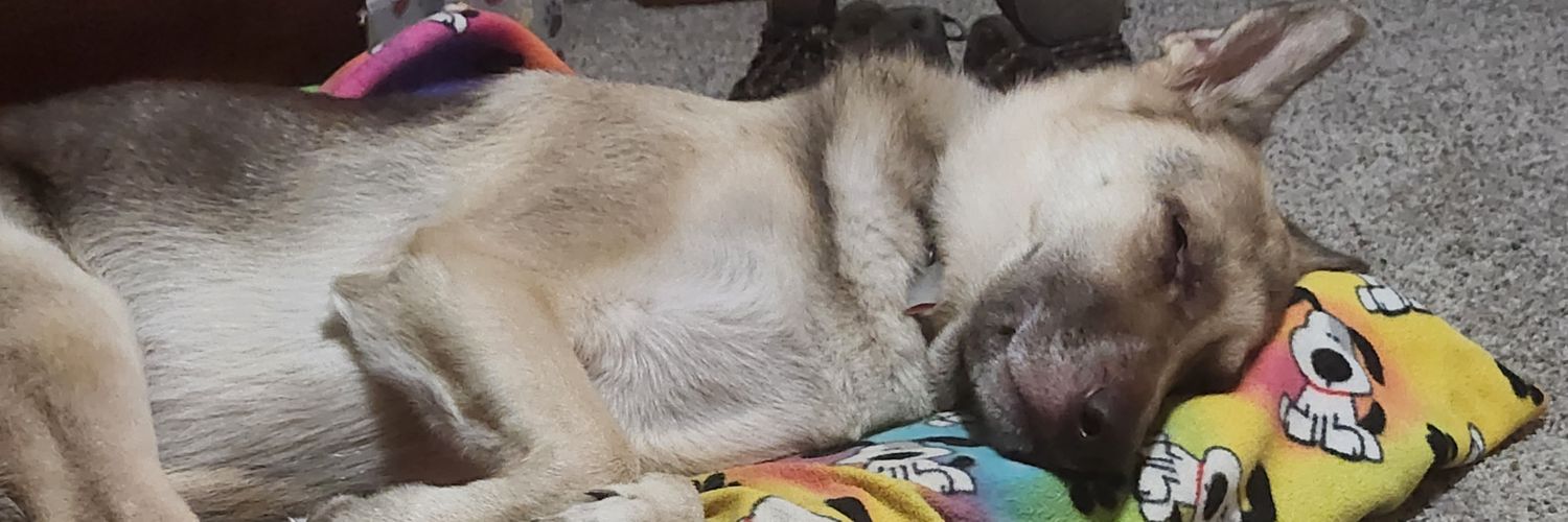 Ben Hostetter banner