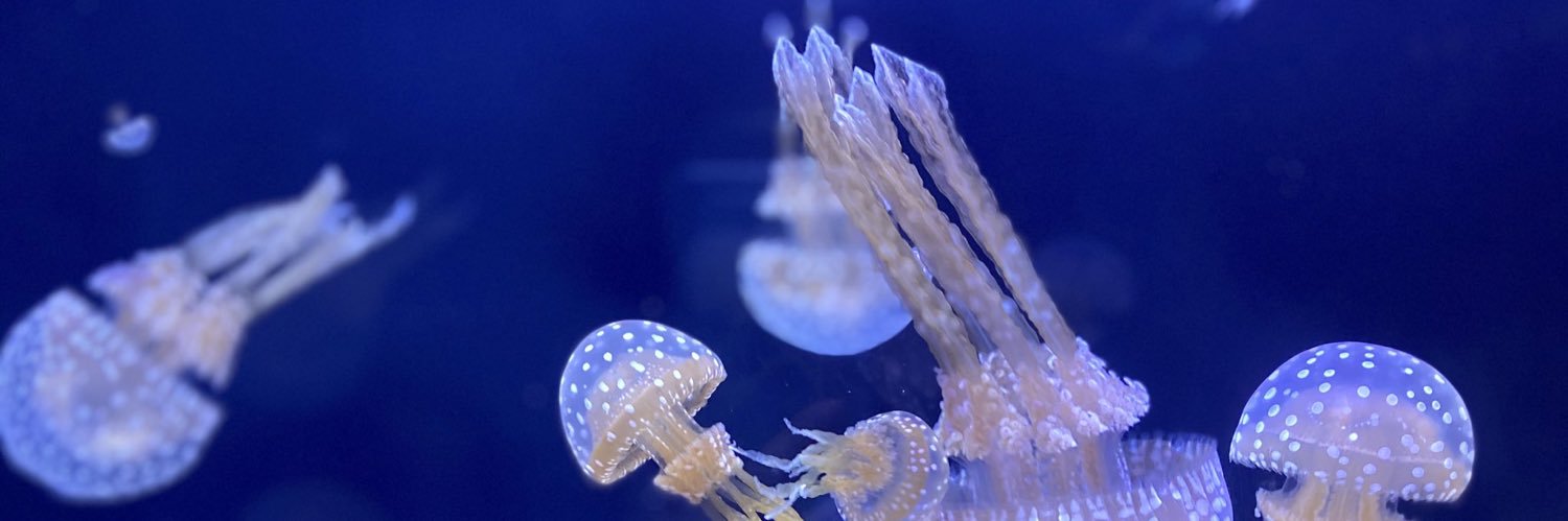 まいしてぶーん banner