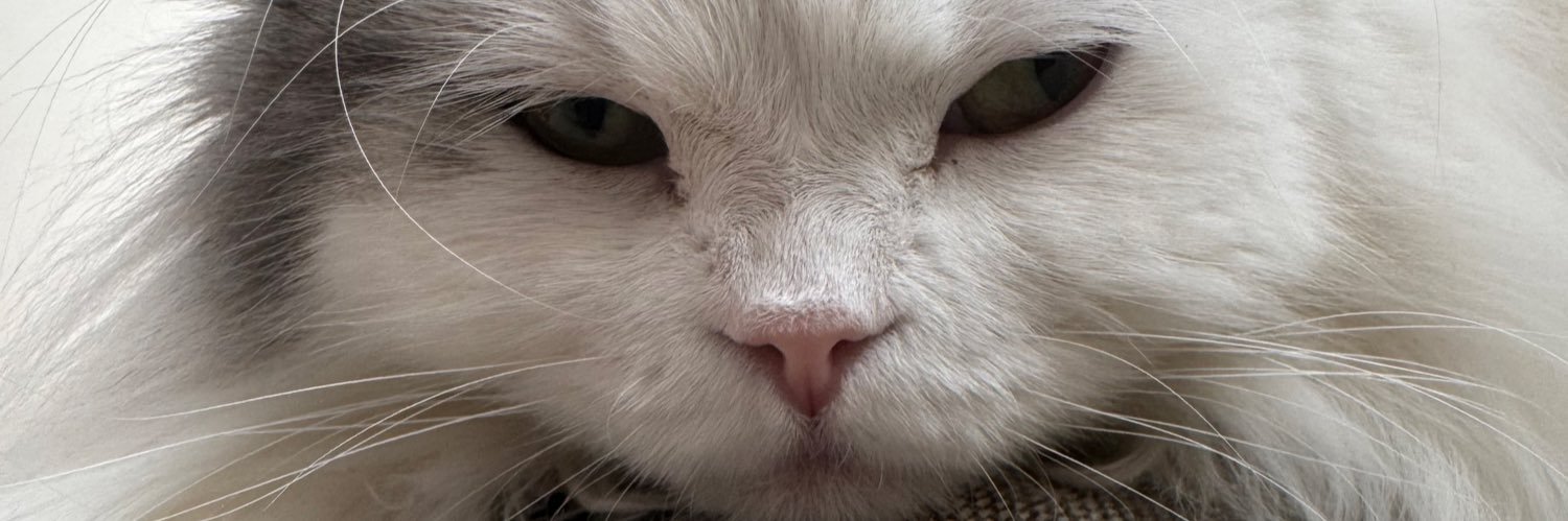 miityabo's profile banner image
